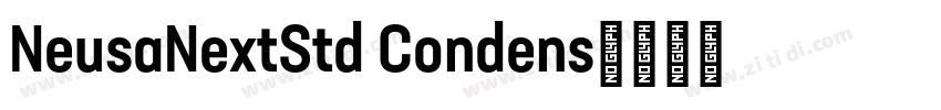 NeusaNextStd Condens字体转换
